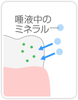 フッ素塗布の流れ